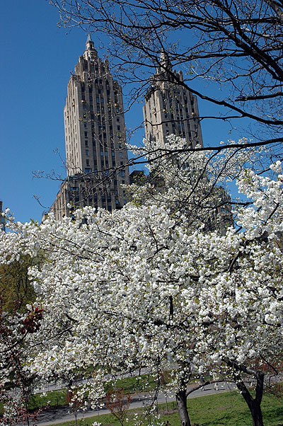 Central Park 038.JPG